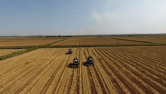 «Агрокомплекс» им. Н.И Ткачёва планирует стать лидером по производству риса в РФ